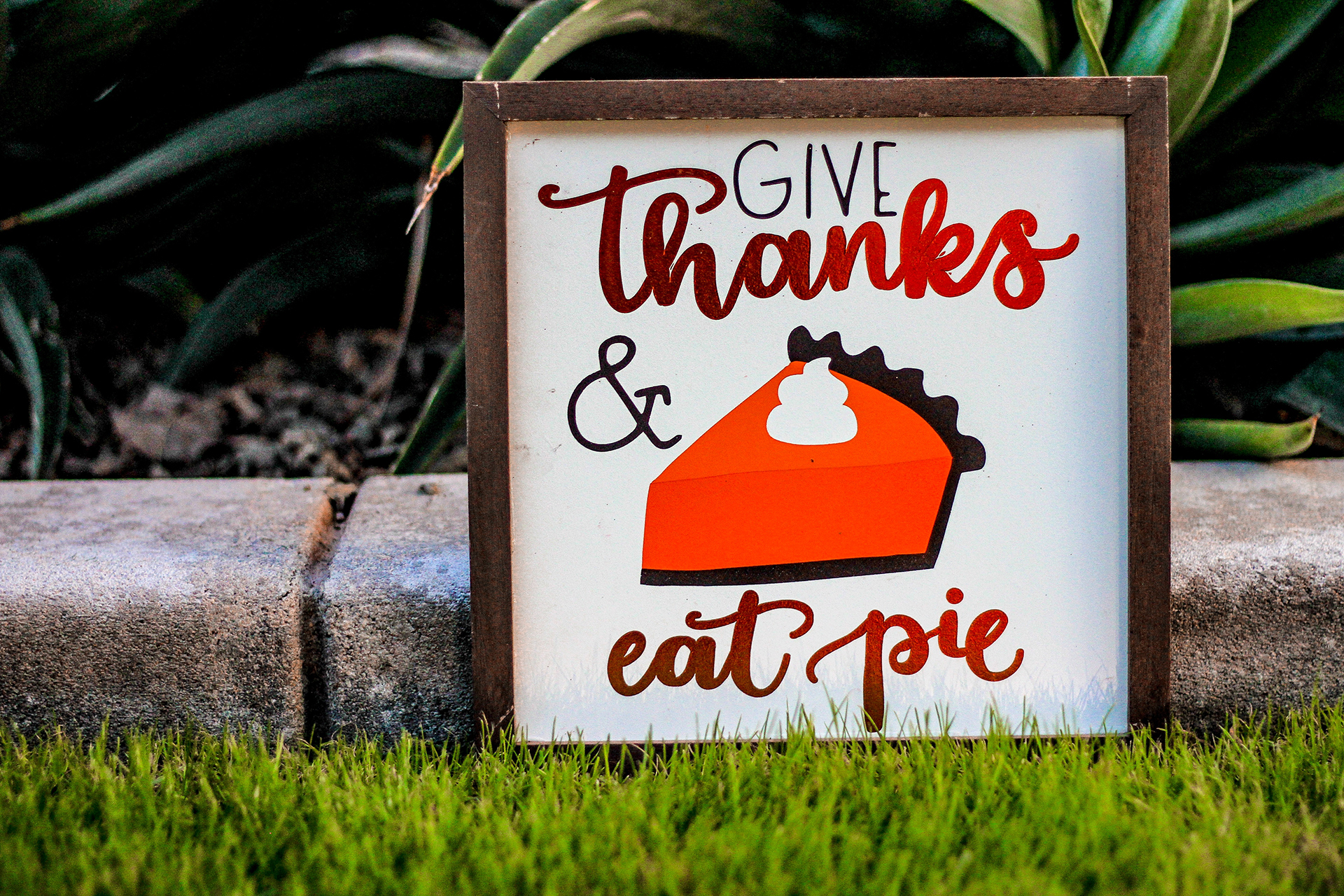 Gratitude Galore: Thanksgiving 2023 in 2023